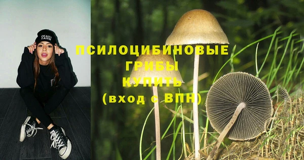 скорость Медногорск