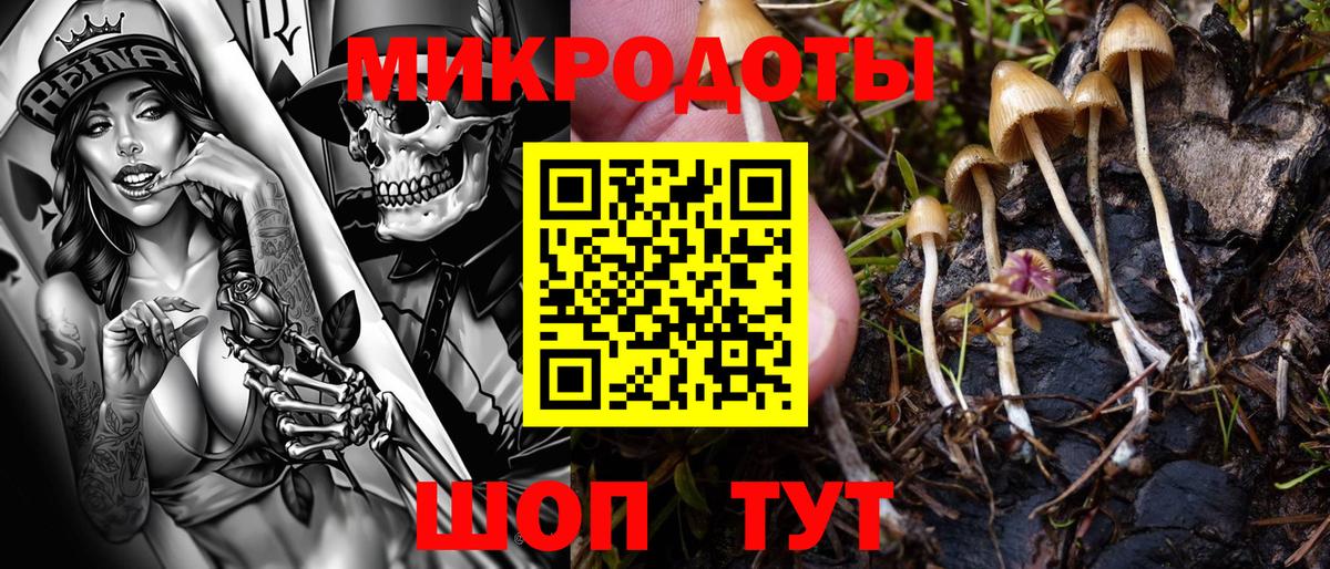 Галлюциногенные грибы GOLDEN TEACHER  Вход с VPN  Нововоронеж 