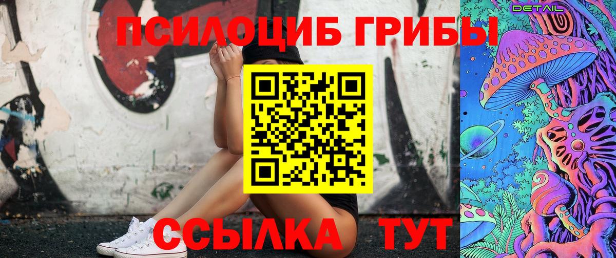 Псилоцибиновые грибы Psilocybe Нововоронеж