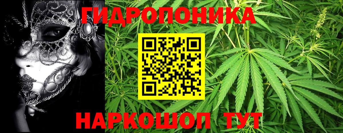 Бошки Шишки тримм Нововоронеж